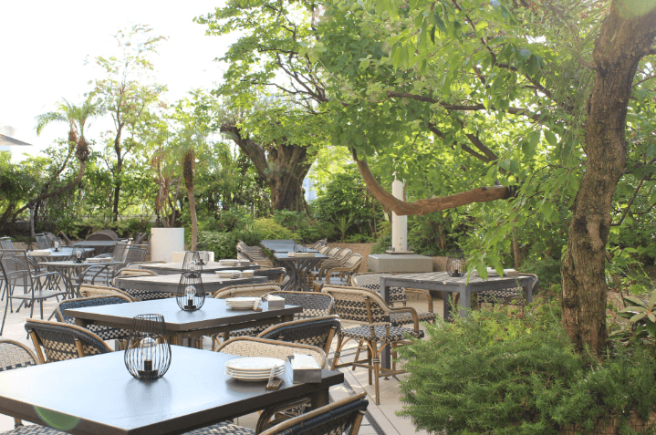 【体験レポ】「GARDEN WHITE ~BEER GARDEN~」光と緑に囲まれたテラスでカリフォルニアイタリアン×ビールを堪能